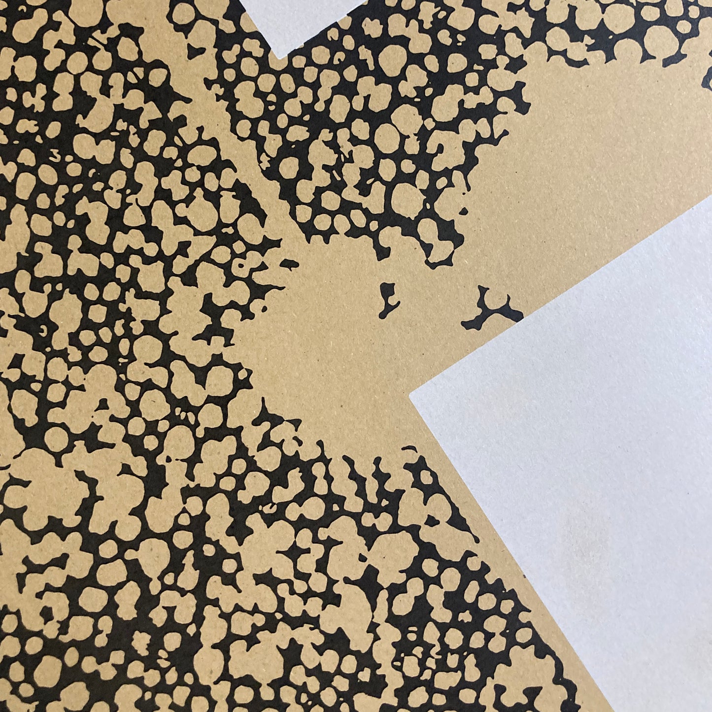 Entropy Duoprint