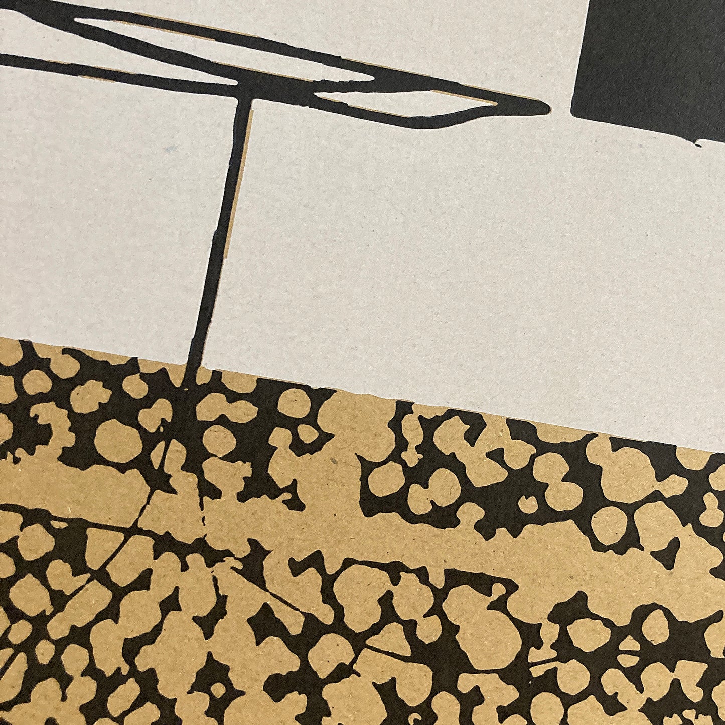 Entropy Duoprint