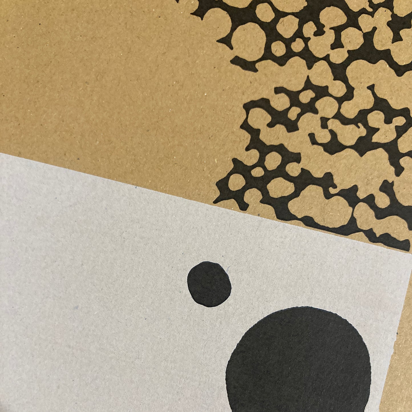 Entropy Duoprint