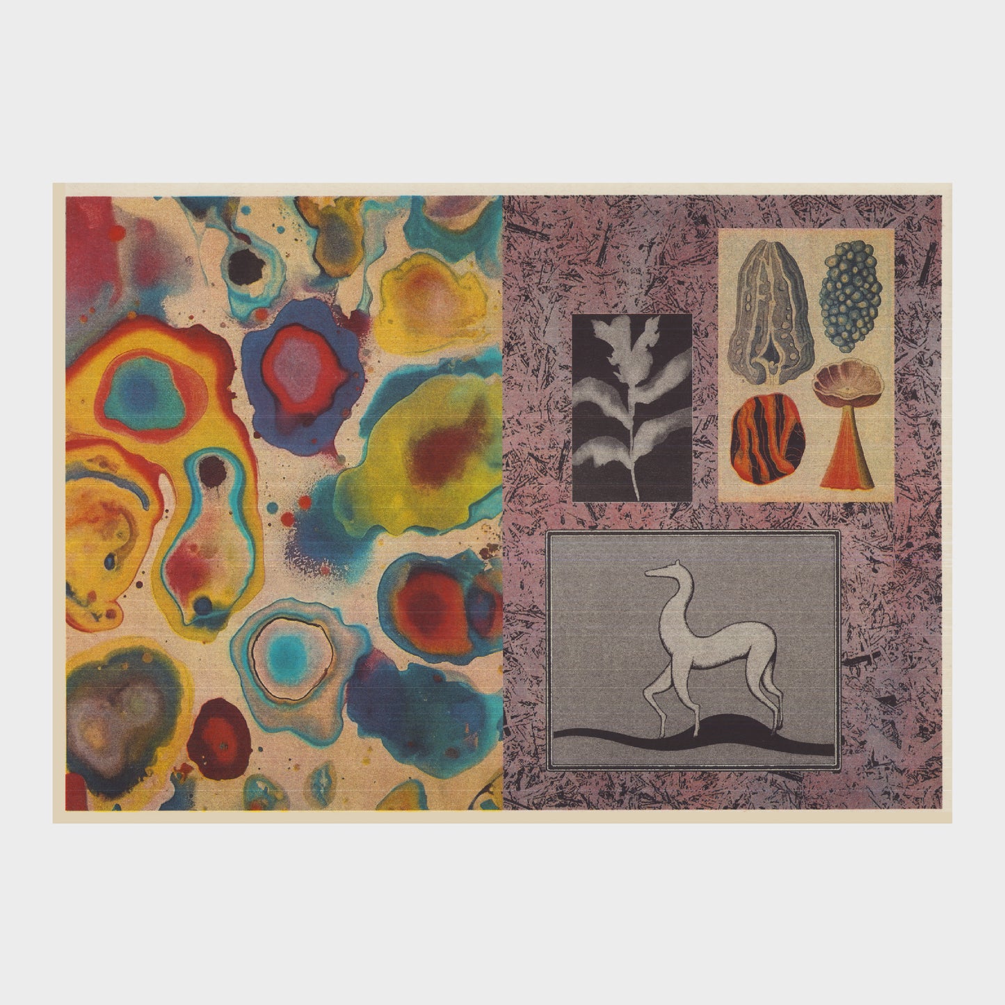 Charles Deroyan / New Age Risoprint