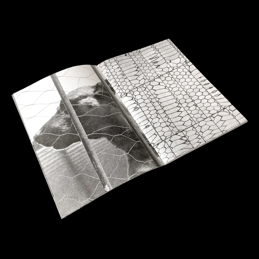 Cesar Martinez / S/T