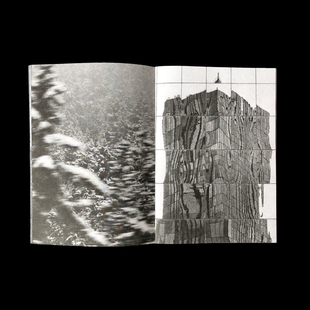 Cesar Martinez / S/T