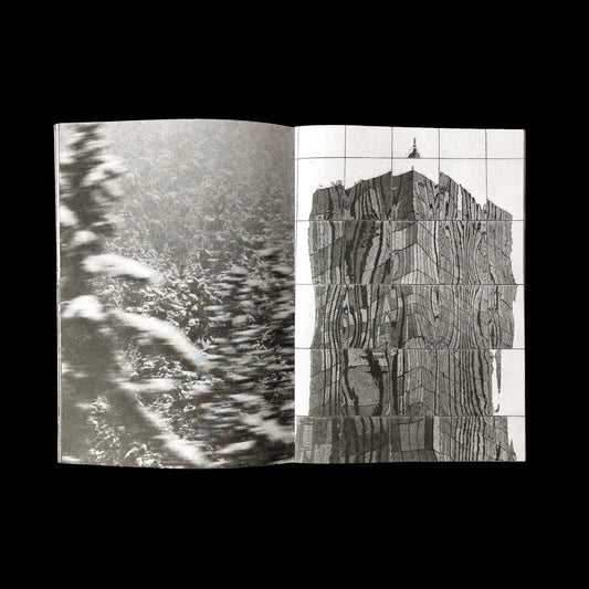 Cesar Martinez / S/T