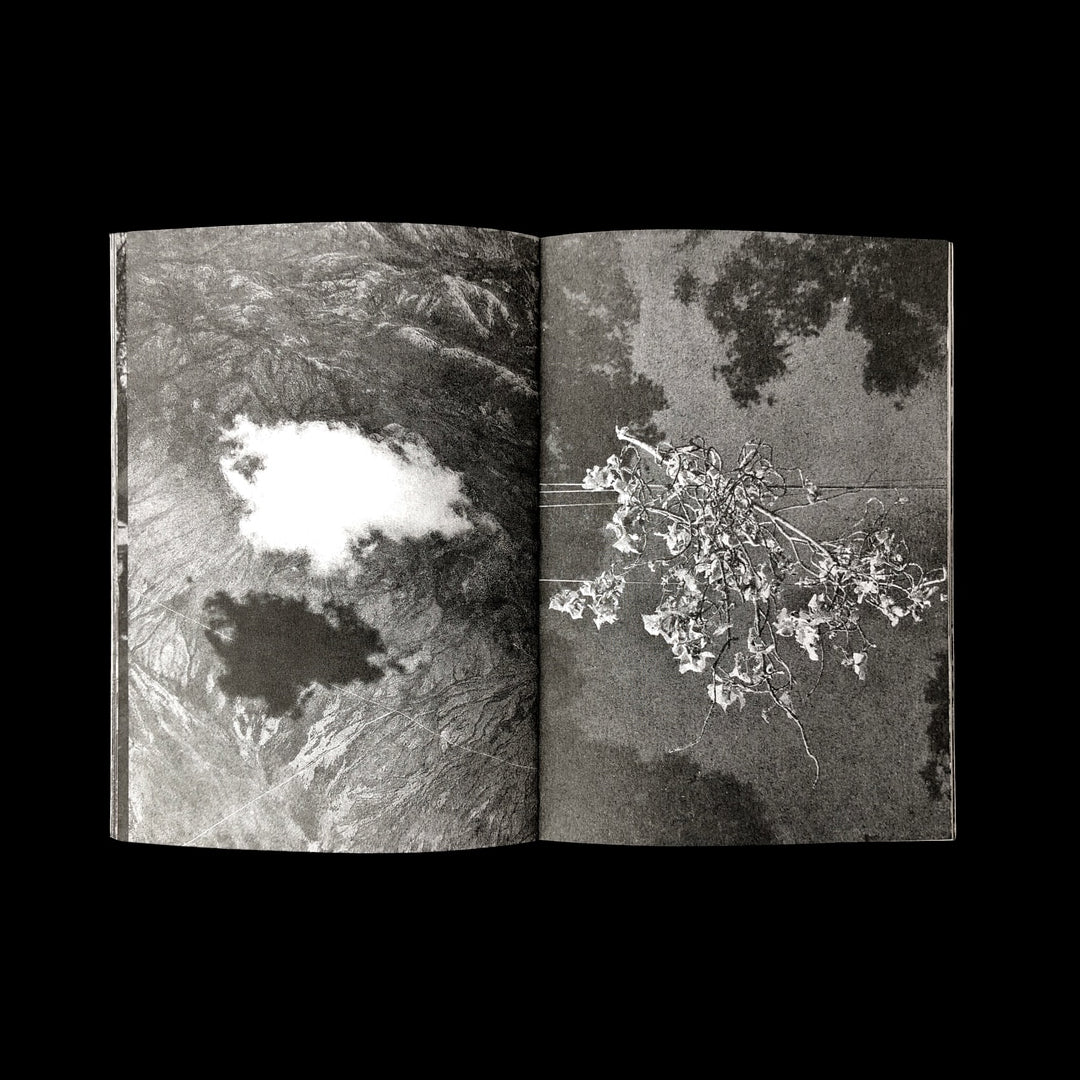 Cesar Martinez / S/T