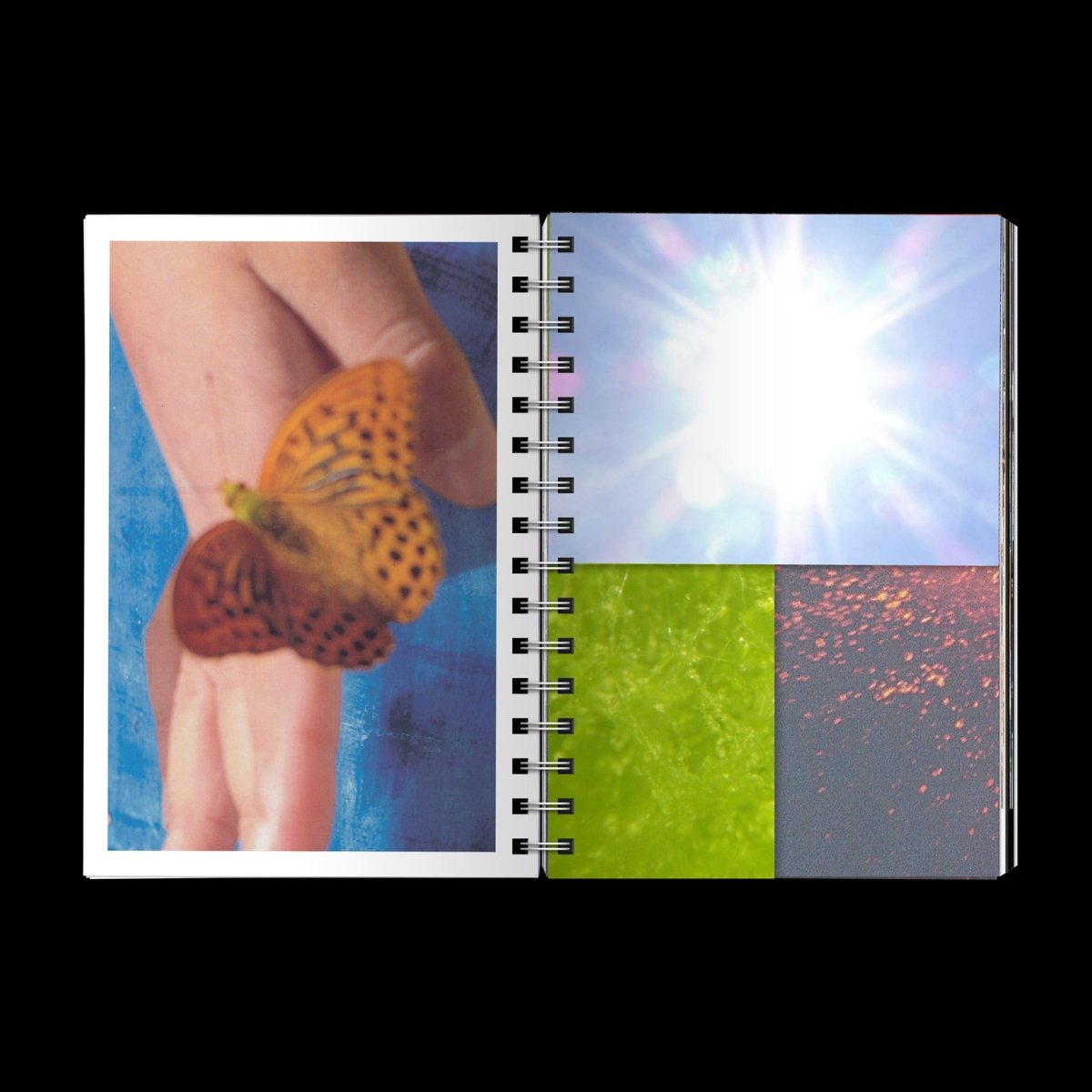 Cris Bartual / Cinco Elementos - product_vendor - Mamama / Masala Noir