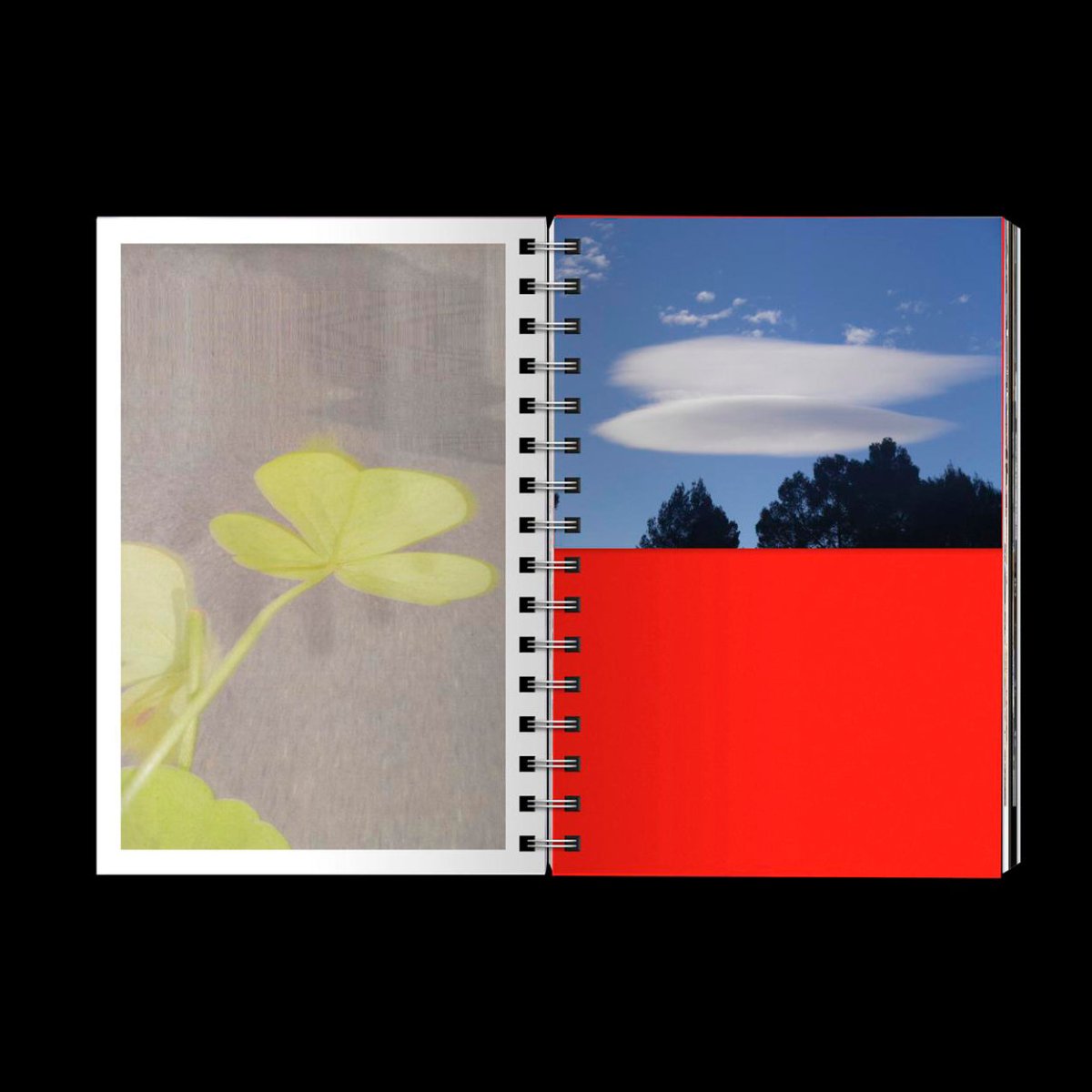 Cris Bartual / Cinco Elementos - product_vendor - Mamama / Masala Noir