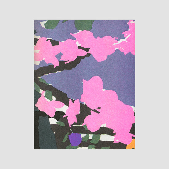 Maël Le Briand éclôt Riso Book Mamama Masala Noir