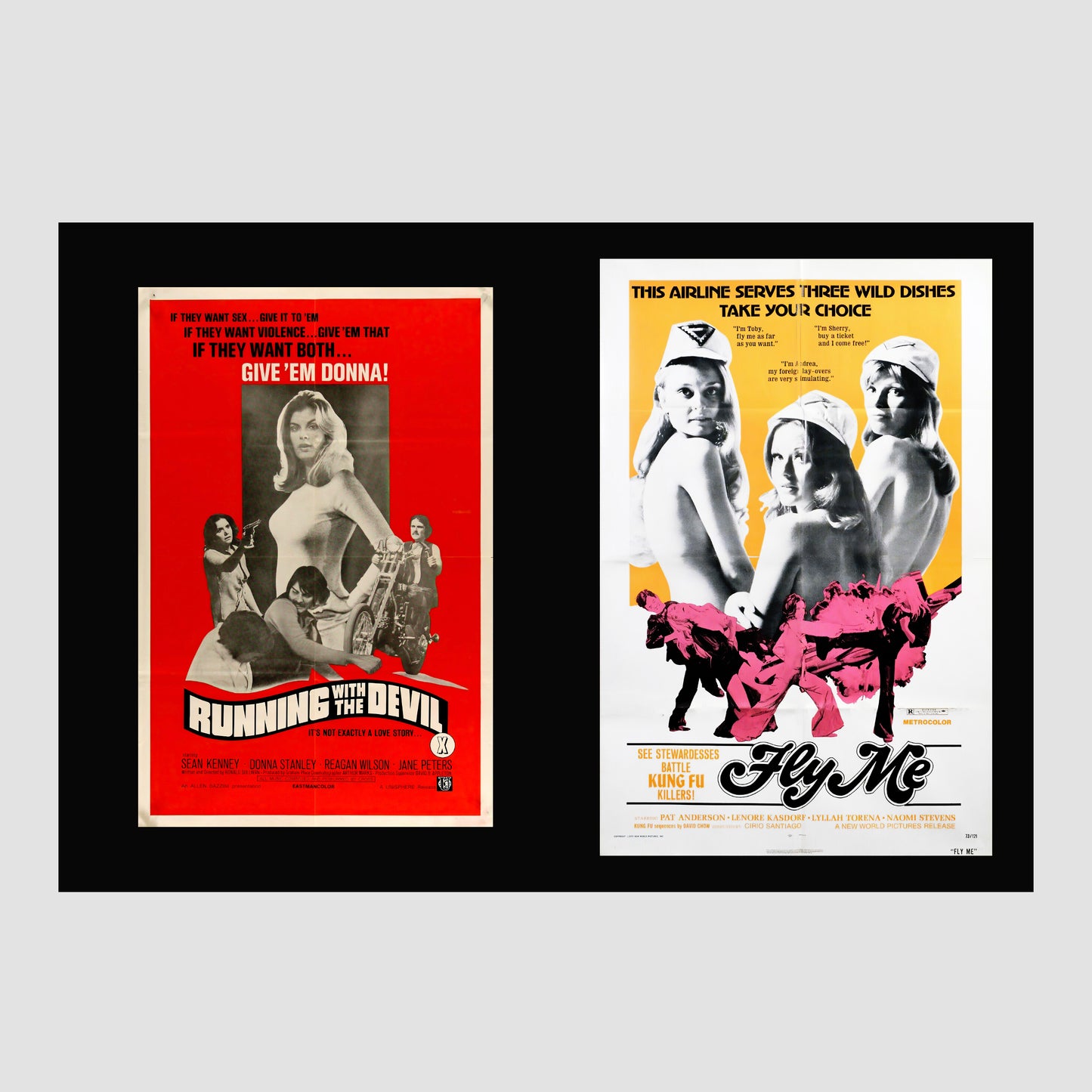 Sexploitation Movie Posters