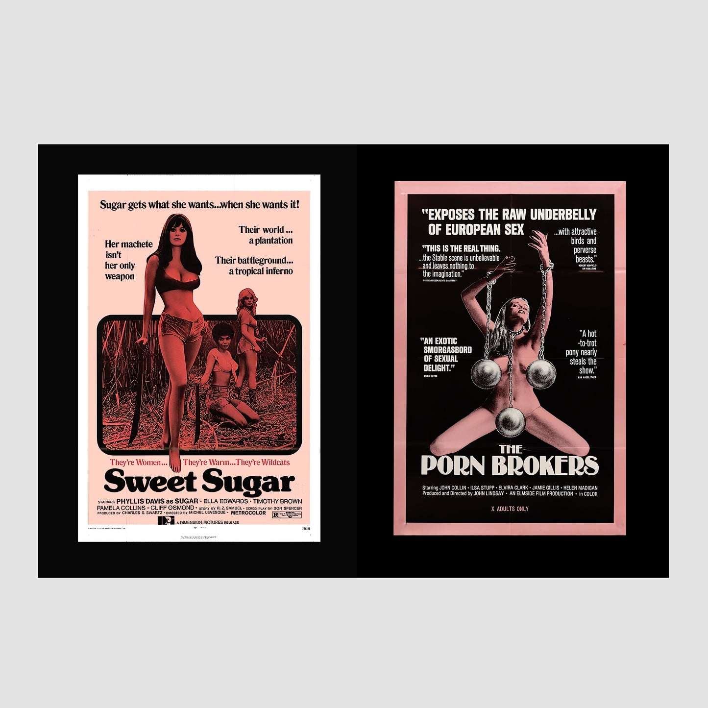 Sexploitation Movie Posters