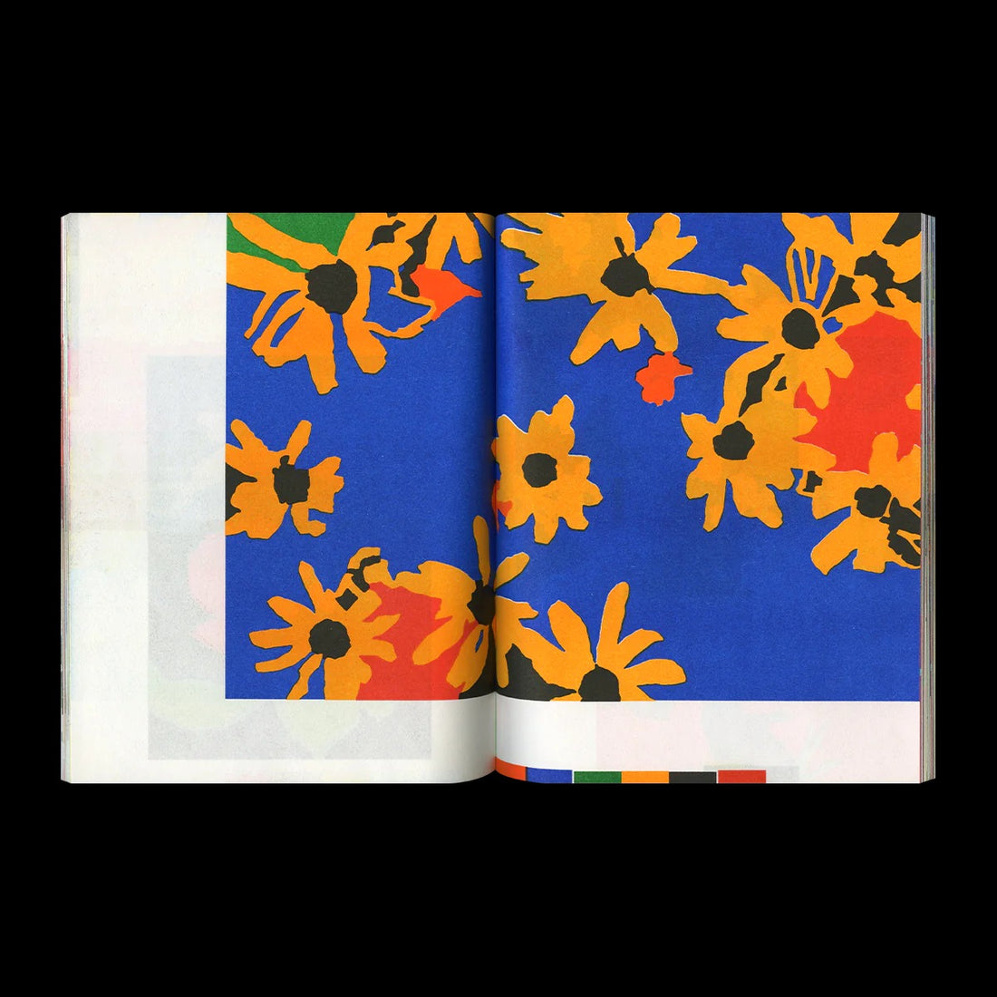 Maël Le Briand éclôt Riso Book Mamama Masala Noir