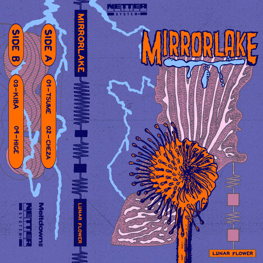 Netter System 002 - Mirrorlake Cassette Tape