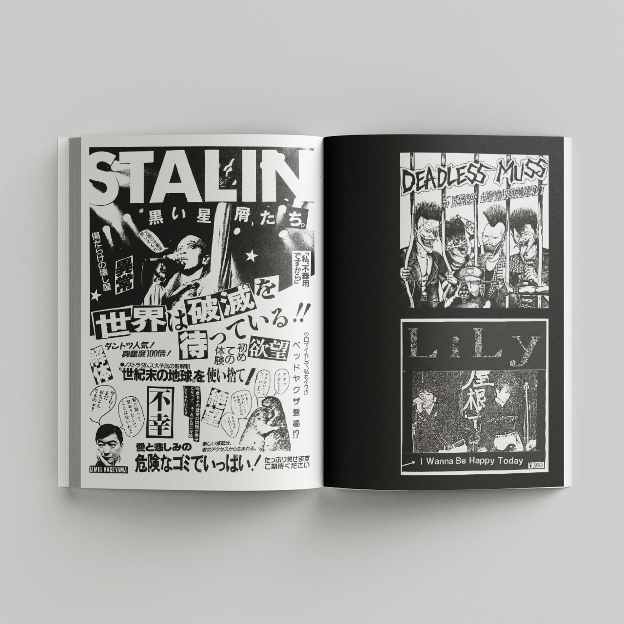 Book - Japanese Punk Graphics