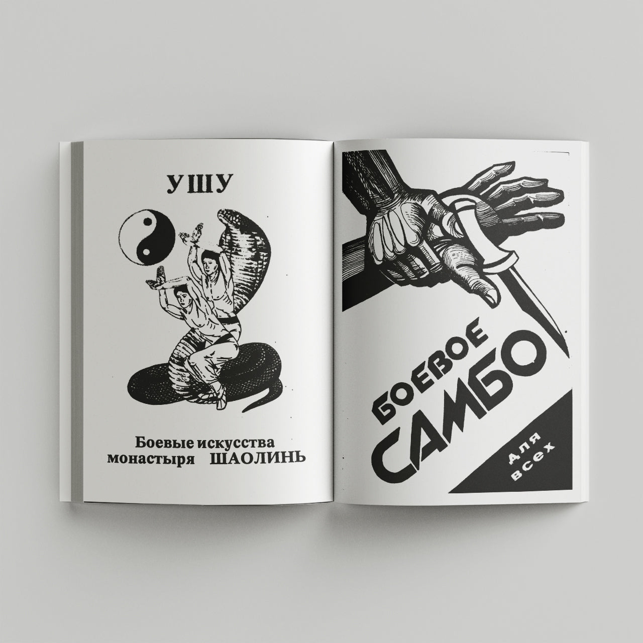 Book - Post-soviet Martial Arts Illustrations